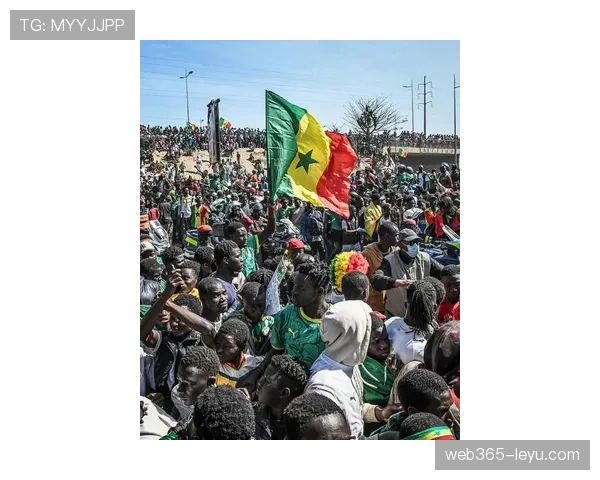 非洲杯门票抢购热潮席卷球迷，盛大赛事即将点燃激情